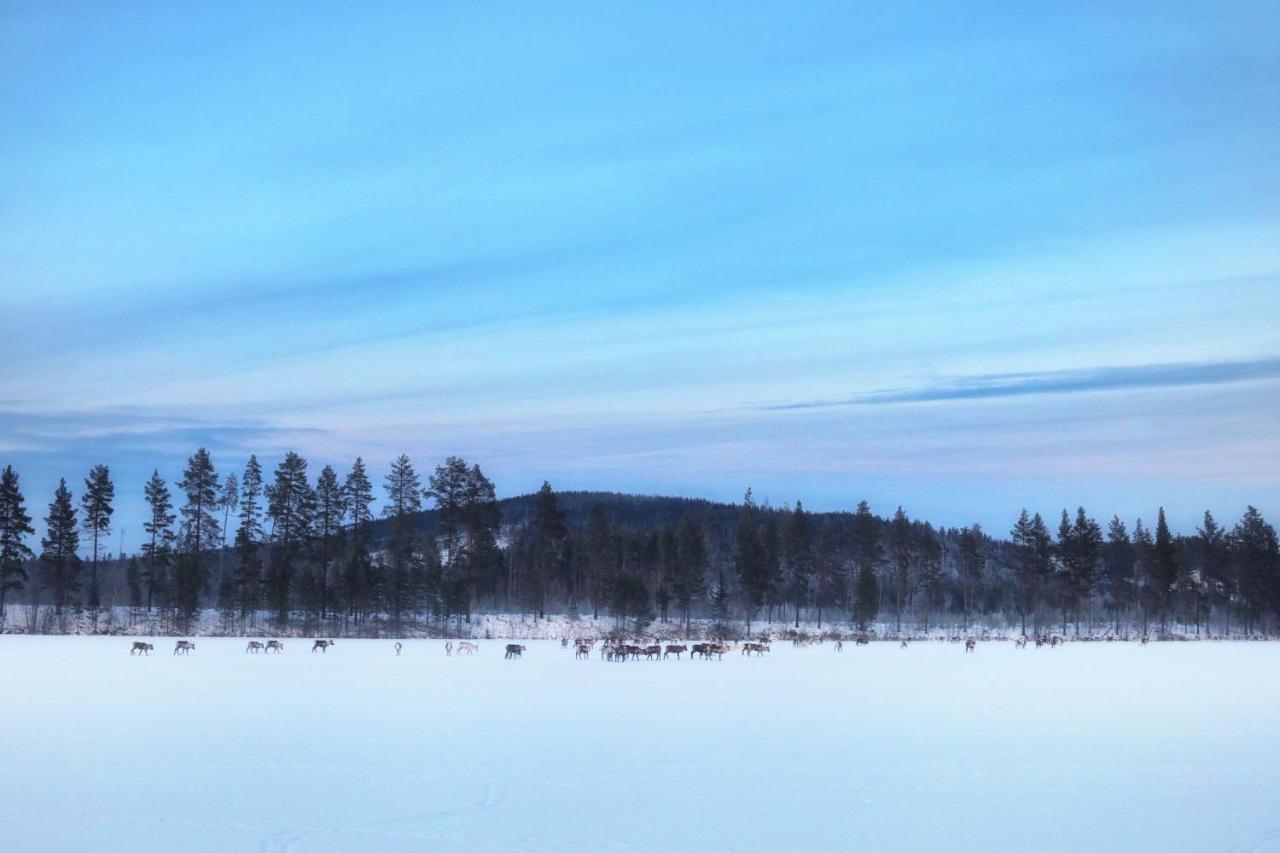 Cozy Stuga - Mountain View Ramsele Exterior foto