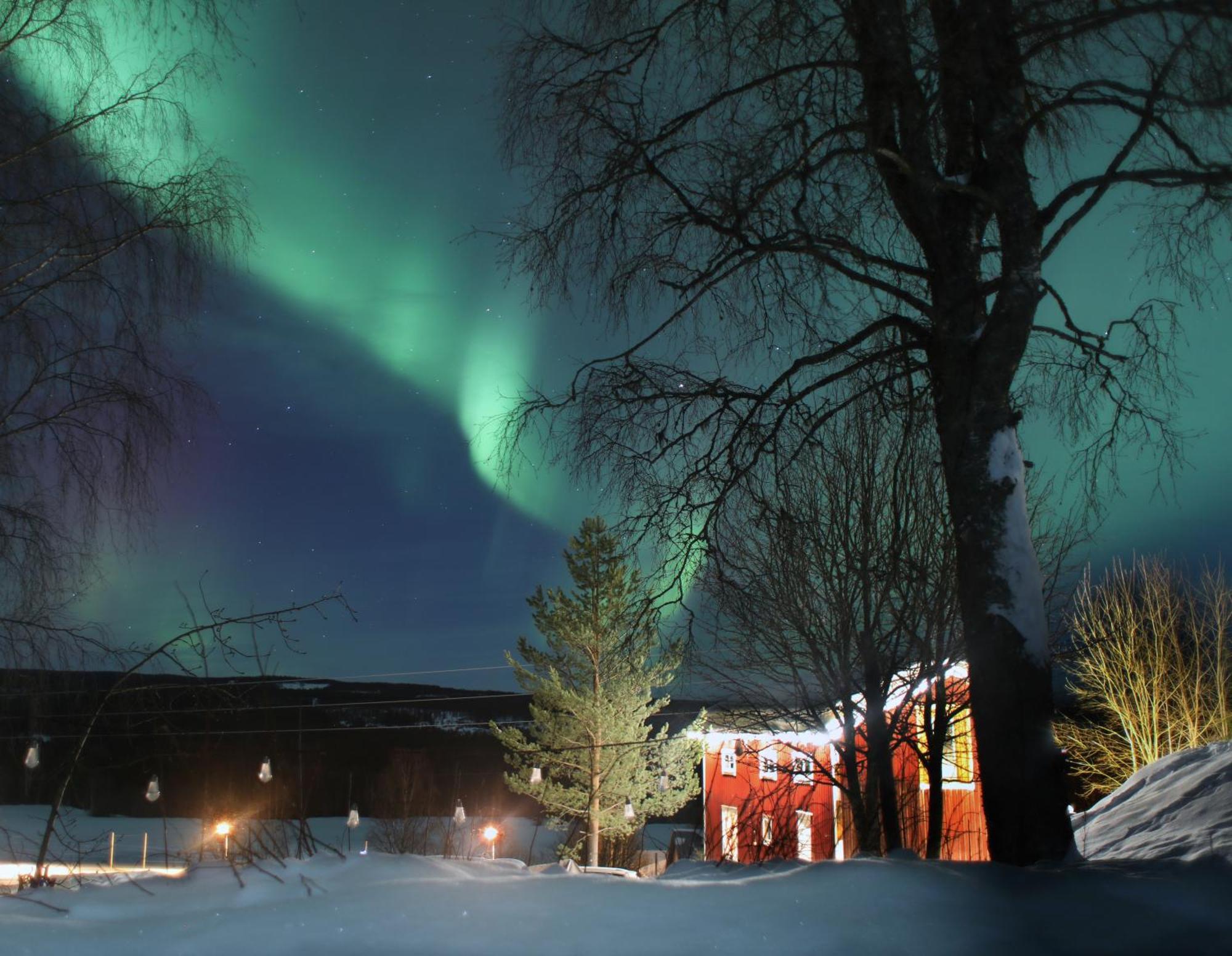 Cozy Stuga - Mountain View Ramsele Exterior foto